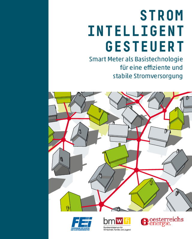 Smart Meter - Strom intelligent gesteuert (2. Auflage)