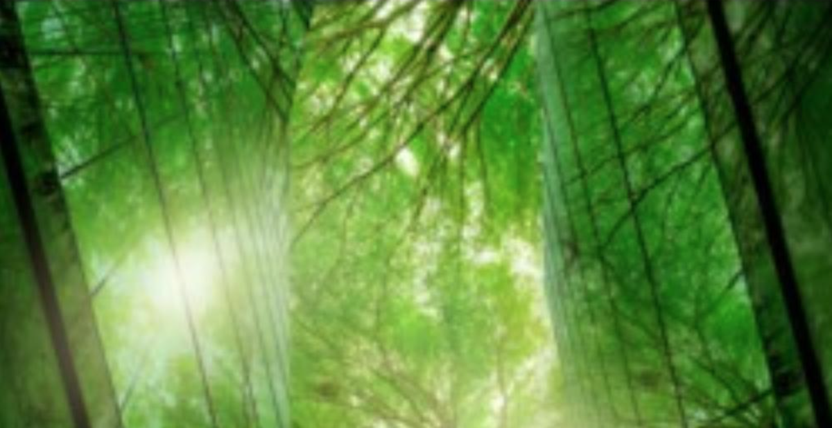 Schneider Electric and Big Red Group partner to drive decarbonisation in the experiences sector