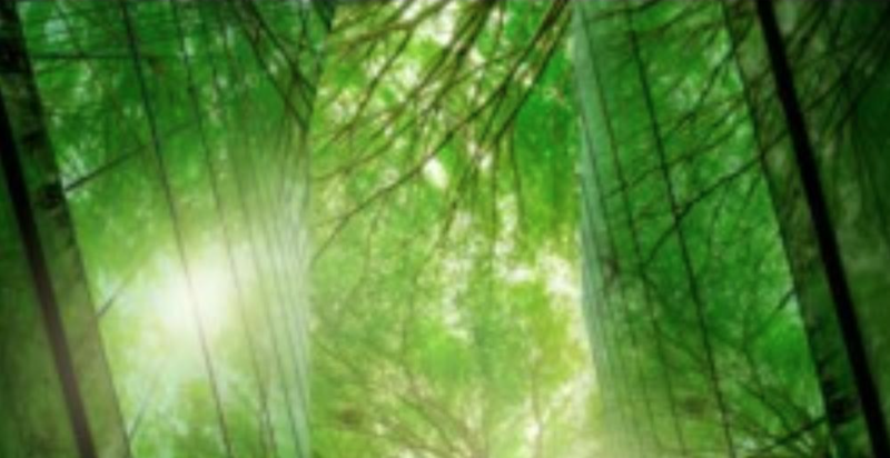 Schneider Electric and Big Red Group partner to drive decarbonisation in the experiences sector