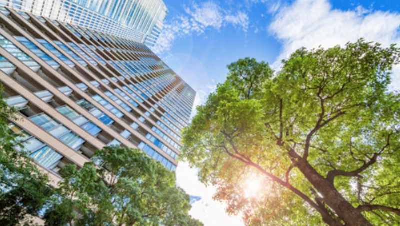 Schneider Electric launches Alliance SI Energize program to support systems integrators