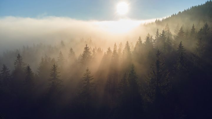 Signify delivers 2040 net-zero Climate Transition Plan