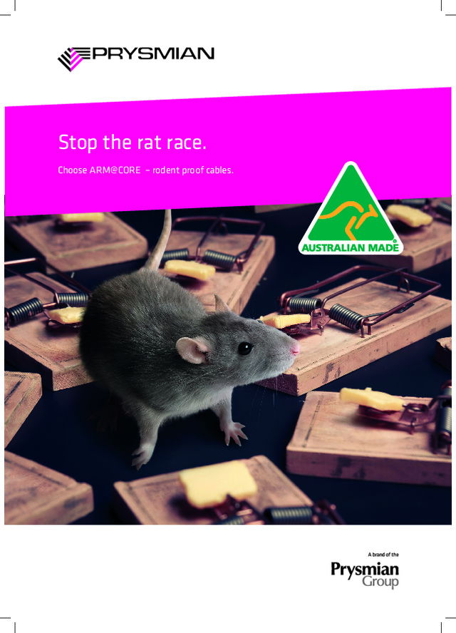 Stop the rat race