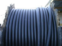Termites attack cable drum, but Prysmian Termitex®  cable is untouched