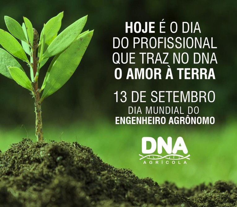 Energia Solar e o Cobre, uma questão de sustentabilidade