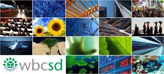 El WBCSD apuesta por un sector energético resiliente