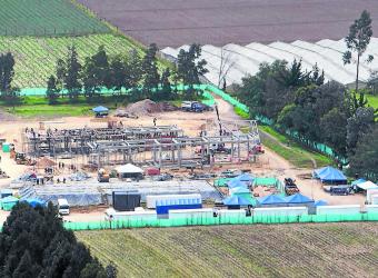 TGI insiste en comprar empresas en Perú y México