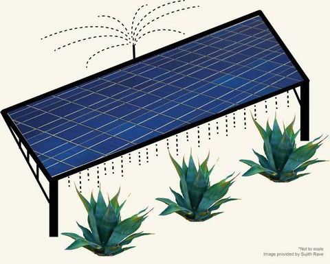 Paneles solares en campos de cultivo, doble uso de un mismo terreno