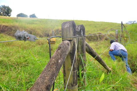 No sea víctima de una cerca electrificada