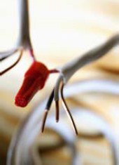 Al momento de entregar los proyectos de construcción