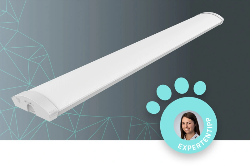 Licht trifft Design: SOFTEDGE von DOTLUX