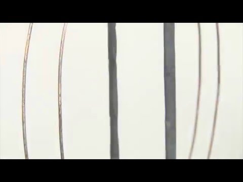 Eröffnung des Forschungszentrums von Phoenix Contact