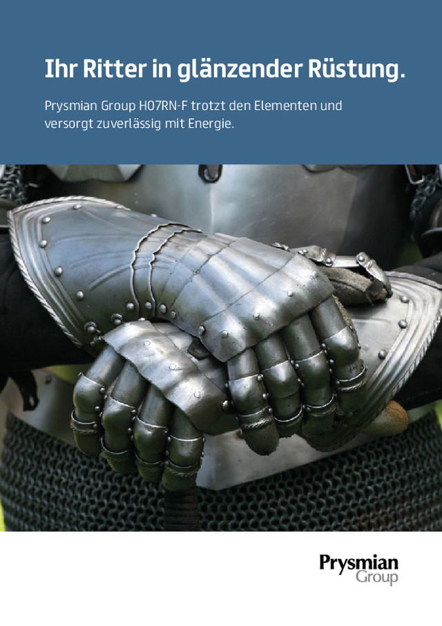 Ihr Ritter in glänzender Rüstung