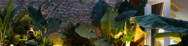 Top tips for lighting your garden for spring & summer