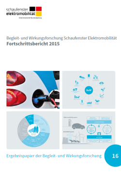 Leitfragen zu Elektromobilität
