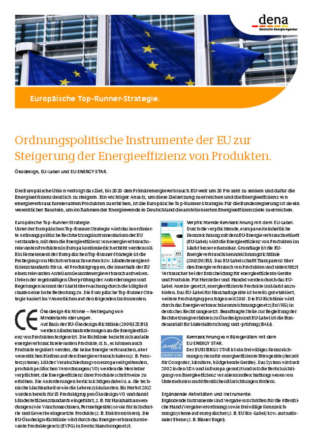 Ordnungspolitische Instrumente der EU zur Steigerung der Energieeffizienz von Produkten
