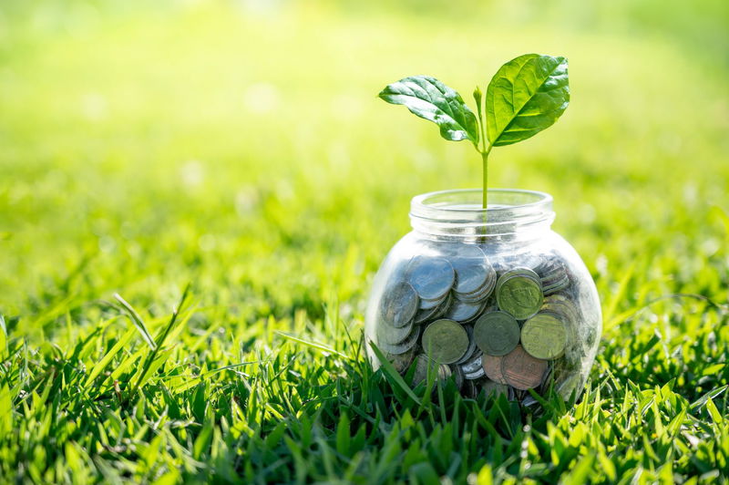 Light Management Systems: A Business Essential