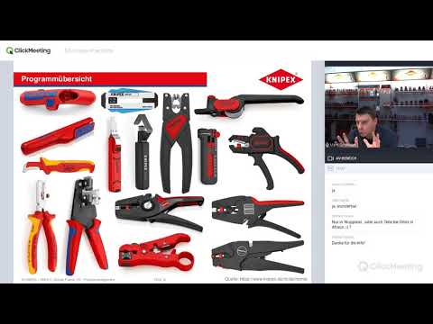 Elektro-Highlights im Fokus