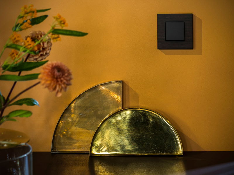 Premium-Schalter für jeden Zweck