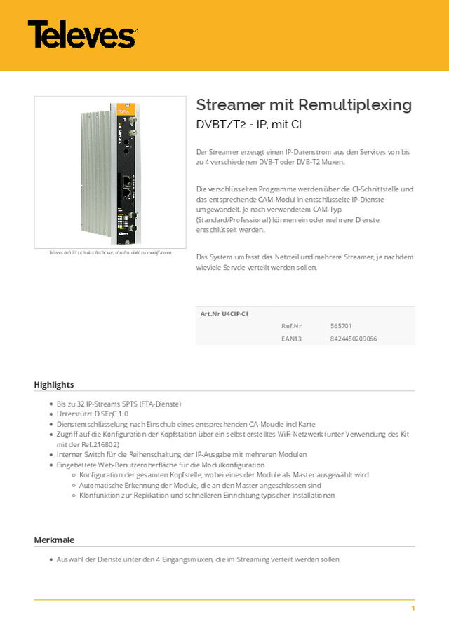 Streamer mit Remultiplexing