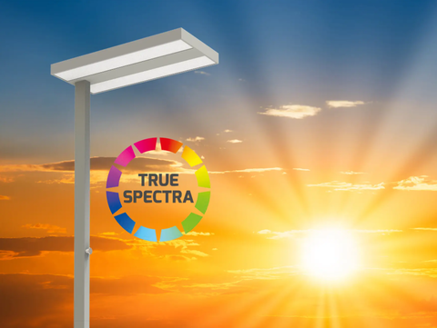 ASSISTsunlike: Ab sofort mit höherer Effizienz