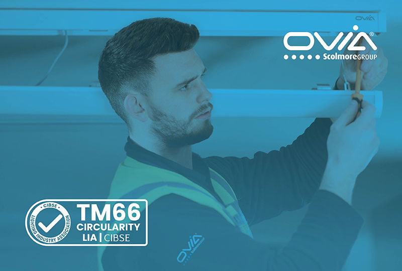 What is TM66?