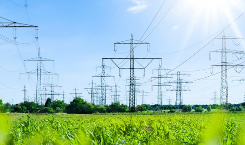 ZVEI: Ohne priorisierten Netzausbau keine zukunftsfähigen Rechenzentren in Deutschland