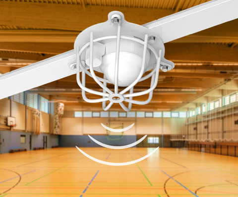 🆕 Neu: SDT-Match mit integriertem Sensorgeräteträger 💡 