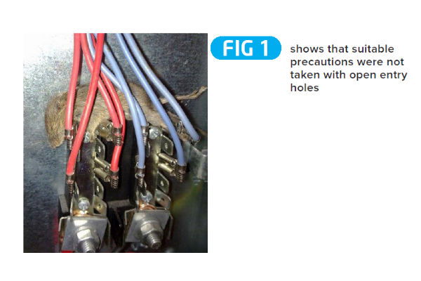 When electrical installations meet flora and fauna