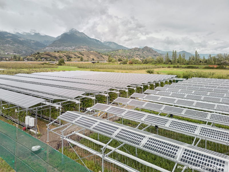 Eaton e Insolight se unen para impulsar los beneficios de las soluciones de energía solar en la agricultura