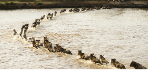 Cómo pasar a un futuro sin SF6 antes de que entren  en vigor las normativas sobre gases fluorados