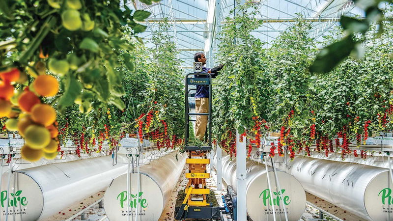 Las granjas inteligentes de Pure Harvest prosperan con ABB Ability Energy Manager