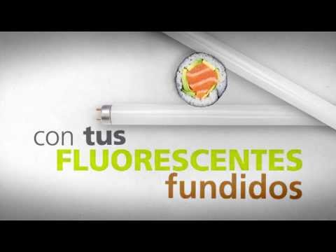 "Cosas que nunca harías con una bombilla fundida" Versión SUSHI