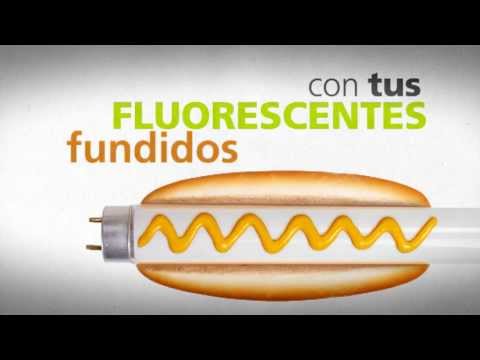 "Cosas que nunca harías con una bombilla fundida" Versión PERRITO