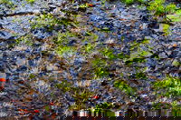 Los secretos de las estaciones en miras de una eficiente inversión en tierra