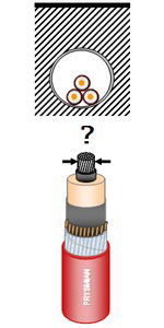 Sección económica y sección ecológica. Ejemplo en línea de MT.