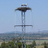 Protección de la avifauna. Conductores recubiertos Simplirret. ITC-LAT 08