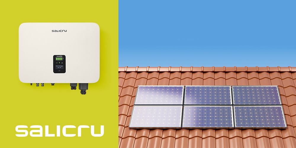Aportación económica de los inversores en una instalación fotovoltaica