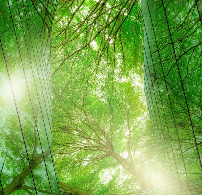 Schneider Electric finaliza la adquisición de EcoAct