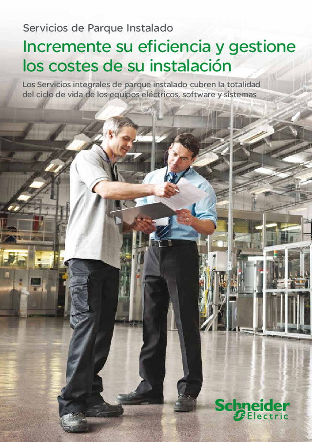 Panorama Servicios Parque Instalado