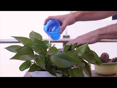 Vivir en un hogar sostenible e inteligente con soluciones Schneider Electric