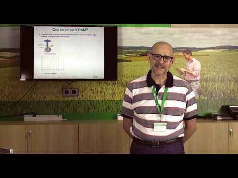 Motion Control Video Digest. Teoría Básica. Perfiles CAM.