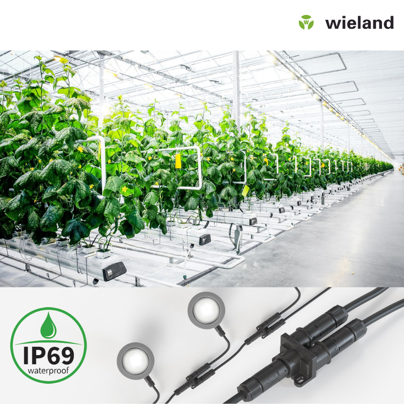 Wieland Electric: estanqueidad máxima para la instalación eléctrica en entornos hortícolas y ganaderos