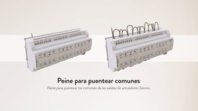 content gallery 1
