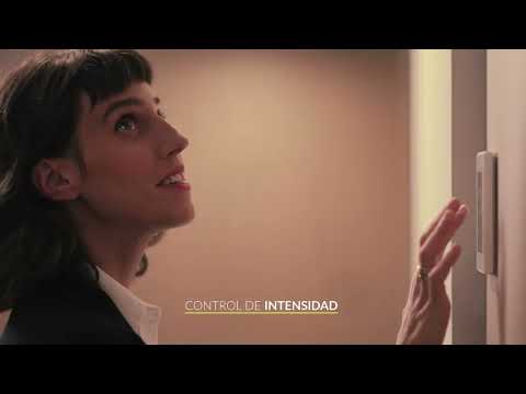 Zennio Pasión Zennio