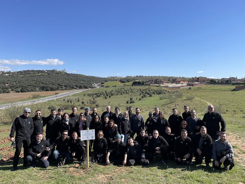 MMConecta culmina las labores de plantación en su Bosque