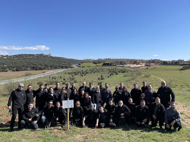 MMConecta culmina las labores de plantación en su Bosque