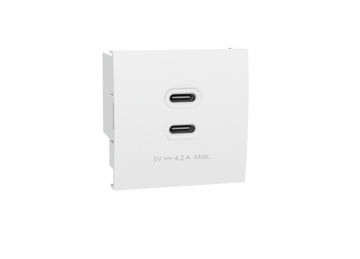 Nuevo Módulo 45×45 Cargador Doble USB C