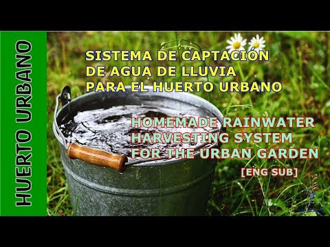 Increíble sistema de captación de agua de lluvia