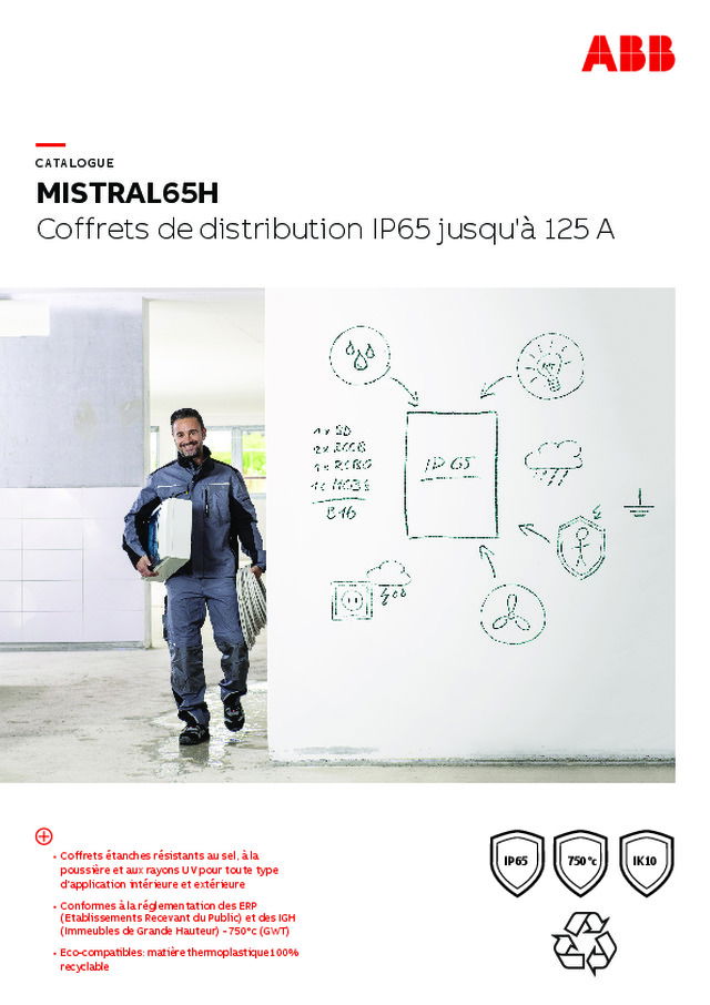 MISTRAL65H : coffrets de distribution IP65 jusqu'à 125 A
