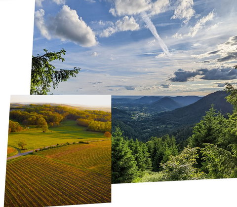 Transition écologique : l'ADEME et la région Grand Est intensifient leur partenariat